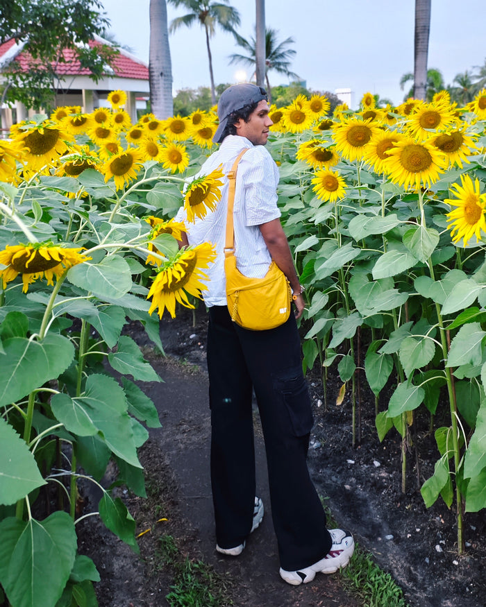 Baasi standing in a field of sunflowers